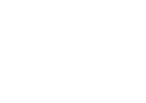 Stussy Logo