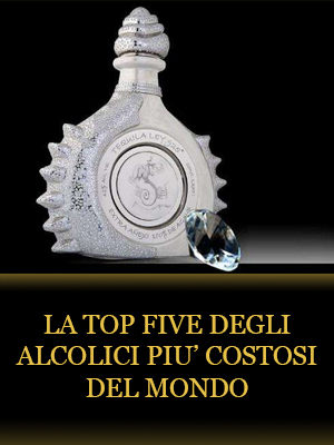 novita3